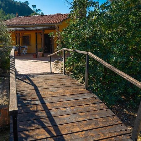 Vila Magical Woods By Fidalsa Simat de la Valldigna Exteriér fotografie
