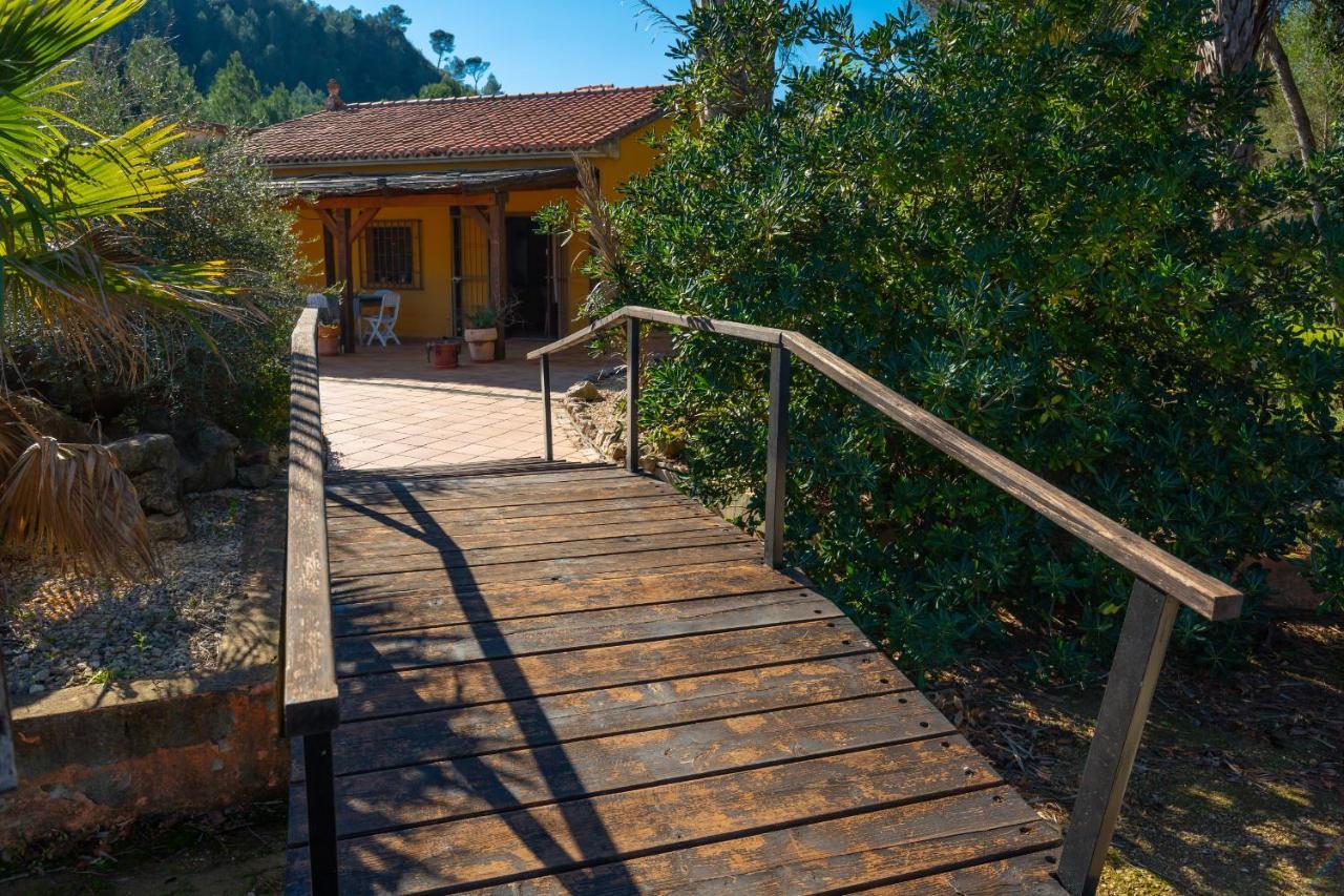 Vila Magical Woods By Fidalsa Simat de la Valldigna Exteriér fotografie
